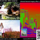 Image for article titled The Best Camera Apps